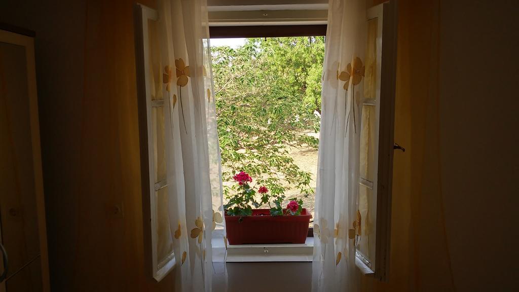 Apartment Karla Jadrtovac Kamer foto